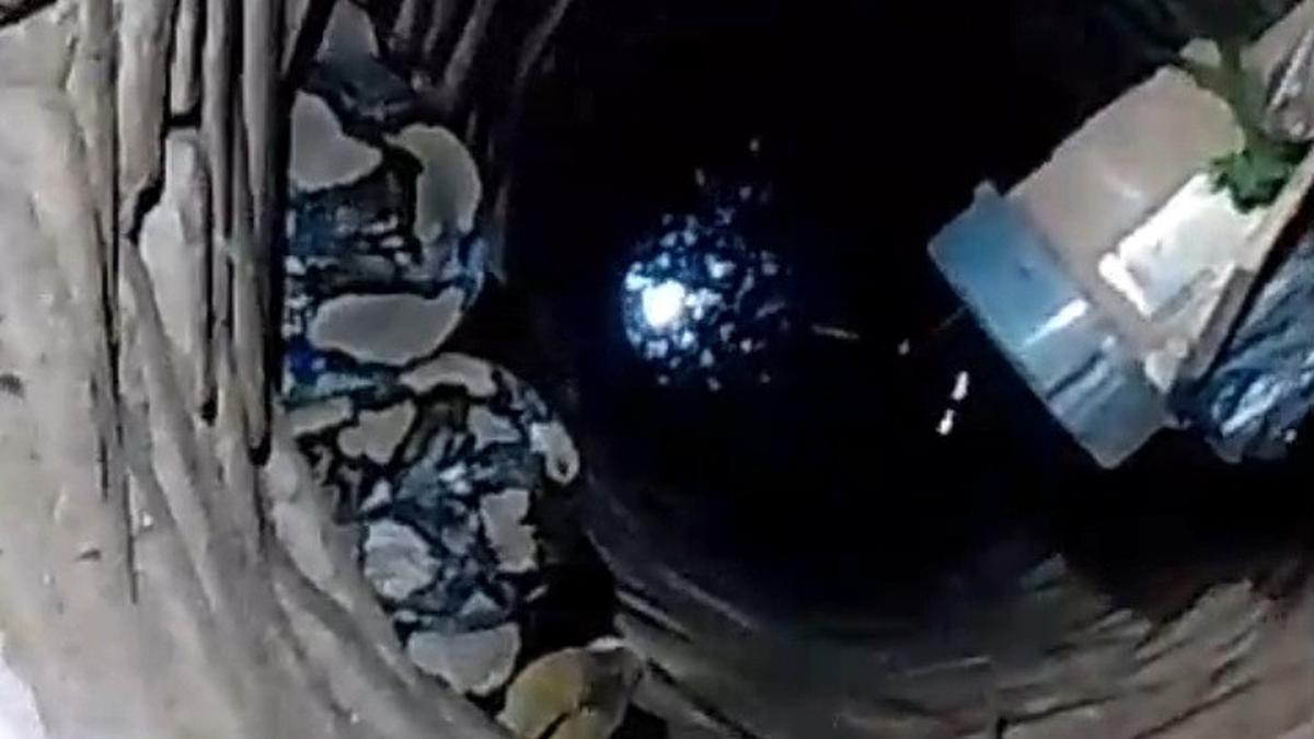 Ular Sanca Besar Sembunyi di Sumur, Lokasinya Strategis Dekat Sumber Makanan