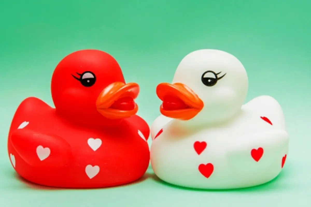 Foto: Copyright ThinkStockPhotos.com