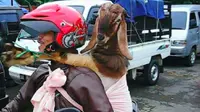 Top 3: Potret Kocak Pengendara Motor dengan Kelakuan Nyeleneh