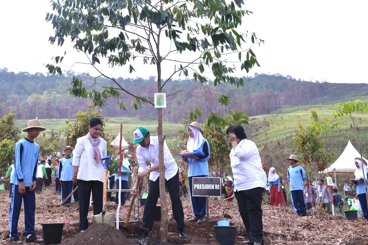 20151126-Melihat Jokowi Menanam Pohon di Hutan Kalimantan Selatan