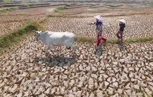 Mencari Setetes Air di Tengah Kemarau