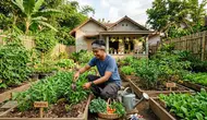 6 Trik Berkebun Organik untuk Sayuran agar Panen Maksimal Meskipun Tanpa Pupuk Kimia