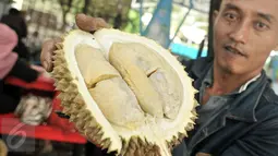 Pedagang menunjukan jenis durian montong di Loksem Pusat Penjualan Durian, Jalan TMP Kalibata, Jakarta Selatan, Kamis (9/2). Loksem yang diisi 30 PKL tersebut akan menjadi pusat penjualan durian terbesar di Ibu kota. (Liputan6.com/Yoppy Renato)