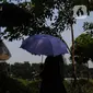 Suhu di DKI Jakarta berkisar antara 24-36 derajat celcius dengan tingkat kelembaban 40 sampai 75 persen. (merdeka.com/Imam Buhori)