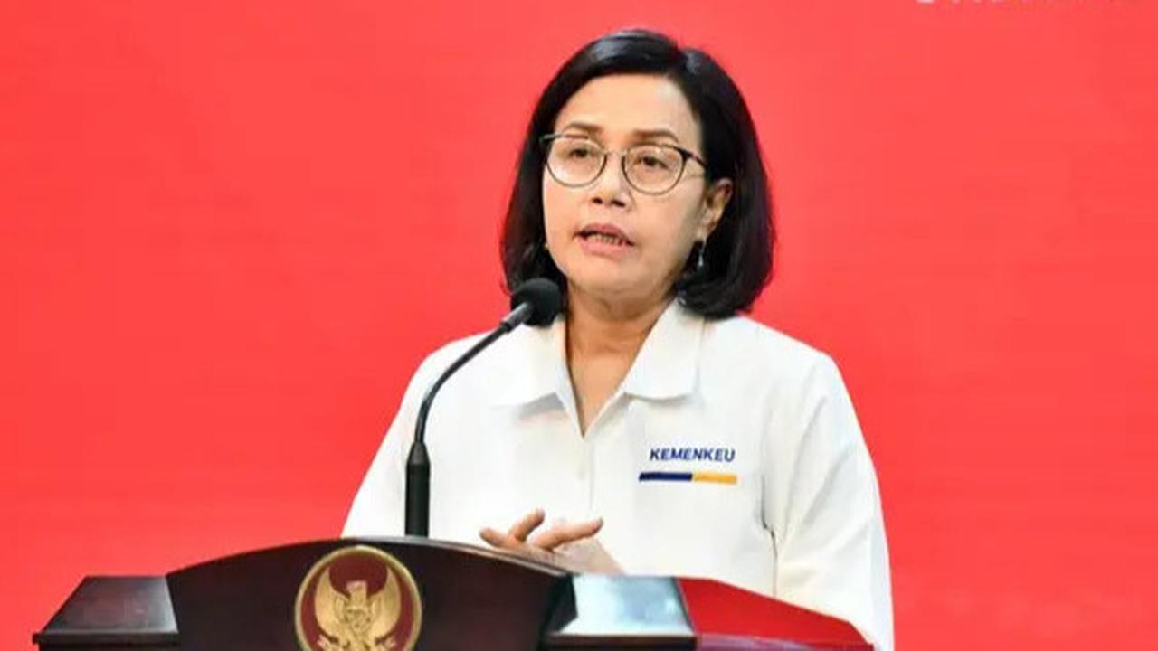 VIDEO: Anak Buah Sri Mulyani Soal Dampak PPN 12 Persen, Top Up e-Money Naik, Bayar QRIS Tetap Gratis