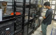 FOTO: H-3 Jelang Idulftri 1445 H, Permintaan Jasa Penitipan Kucing Melonjak 100 Persen