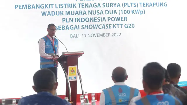 PLN.