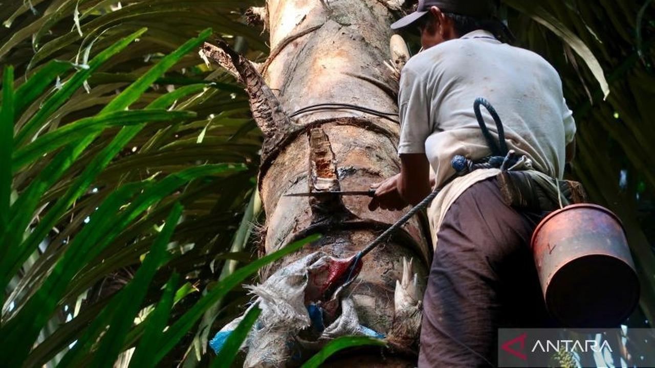 Trivia: Strategi NTB Perkuat Ketahanan Pangan dan Wisata, Tekan Kemiskinan Hingga Nol Persen 2029