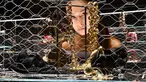 Pengunjung melihat perhiasan dan ornamen di pameran 'Gianfranco Ferre' sotto un'altra luce. Gioielli e Ornamenti ' di Turin, Italia, (11/10). Sekitar 200 permata kelas dunia dipamerkan perancang Italia, Gianfranco Ferre. (Alessandro Di Marco/ANSA via AP)