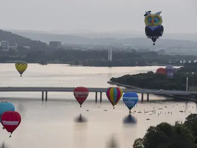Sejumlah balon udara terbang bebas diatas danau Burley Griffin, Canberra,  Australia, (15/3). Ini dilakukan dilakukan dalam memperingati ulang tahun ke-30 festival Balloon Spectacular Canberra . (REUTERS / Lukas Coch)
