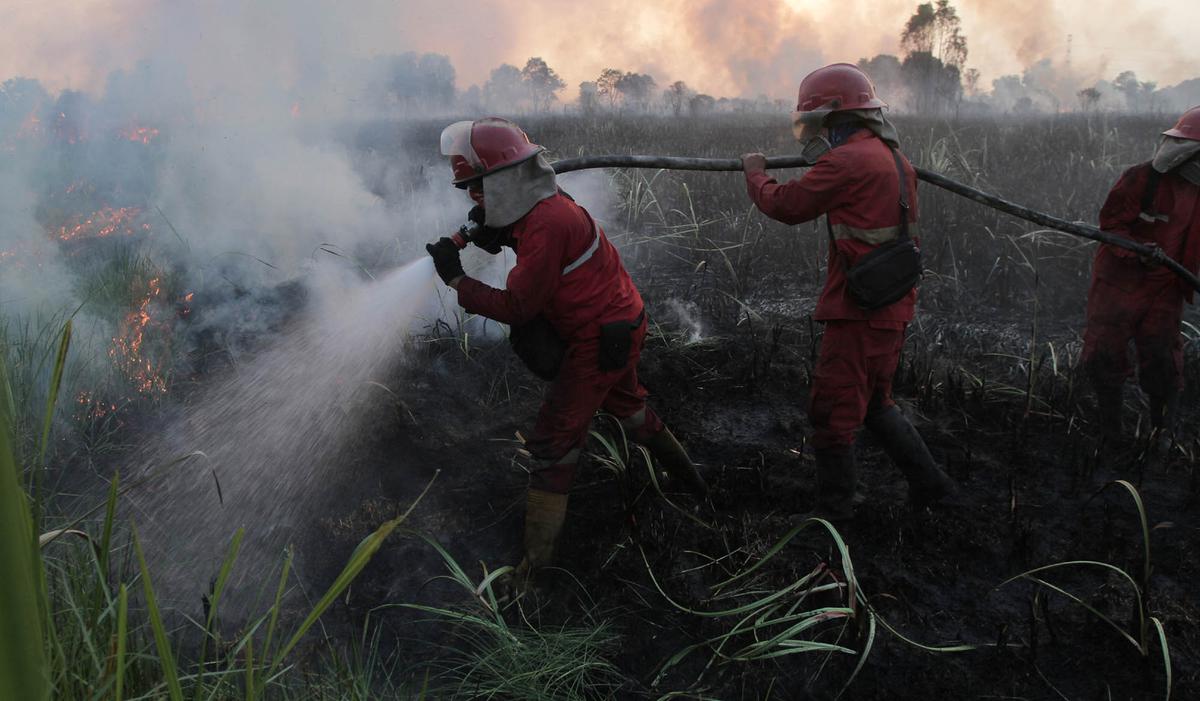 Karhutla Hanguskan 107 Ribu Hektare Hutan dan Lahan di Indonesia