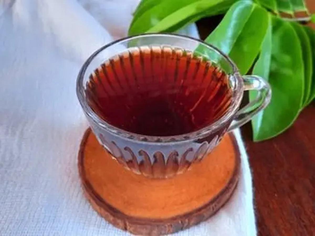 Resep Rebusan Daun untuk Kolesterol dan Darah Tinggi, Rahasia Herbal Tradisional