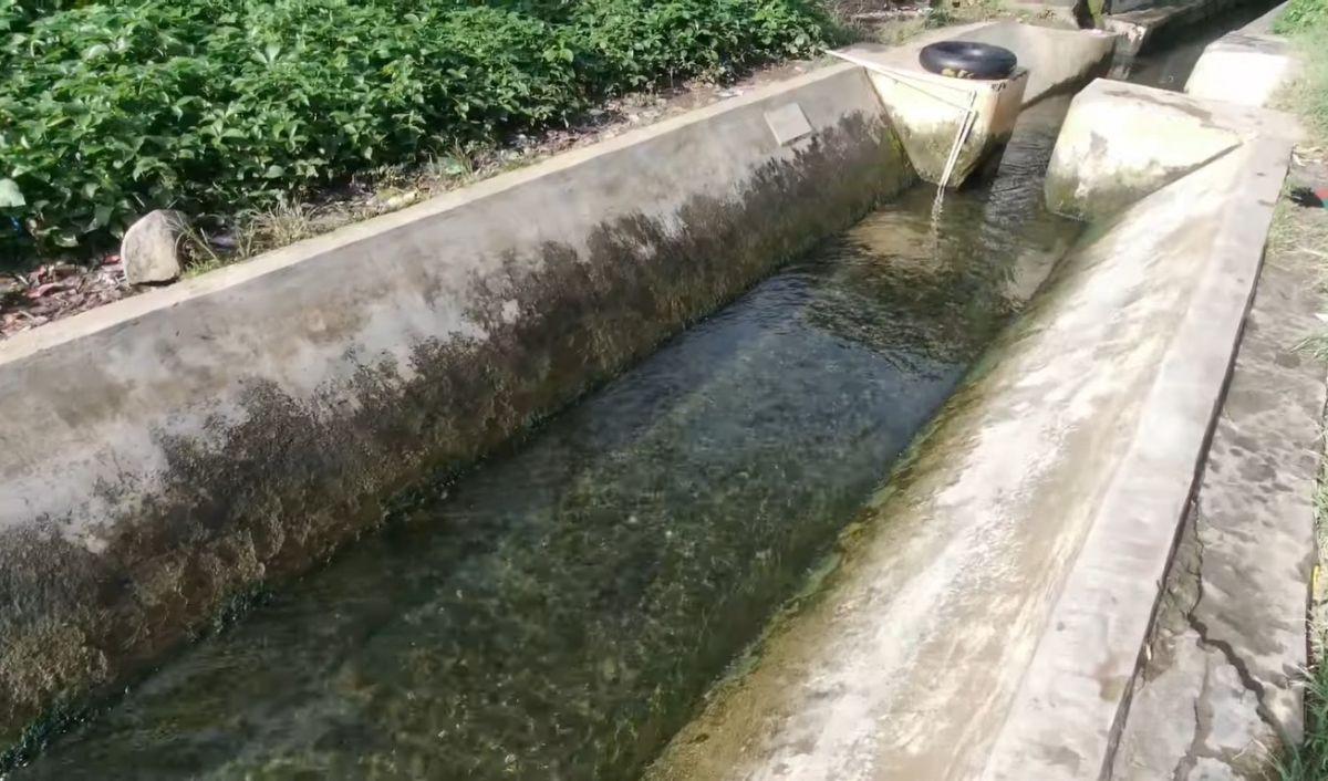 Perlu Dikelola dengan Baik