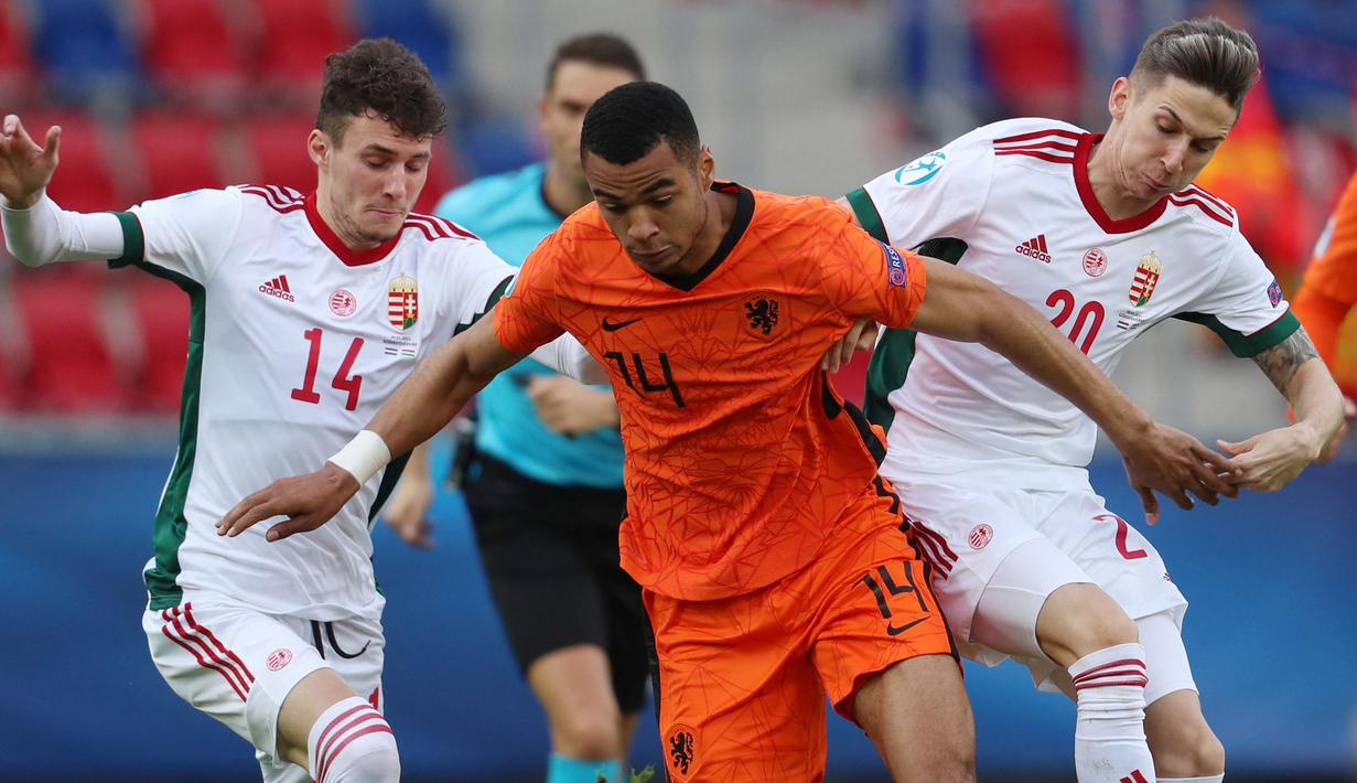 Cody Gakpo (tengah) dapat berlari hingga kecepatan 33,6 km/jam di Euro 2020. Ia merupakan pemain Timnas Belanda yang bermain di posisi sayap kiri. (Foto: AFP/Pool/Ferenc Isza)
