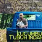 Film 'Kucumbu Tubuh Indahku' mendapat penolakan dari Pemkot Palembang (Liputan6.com / Nefri Inge)