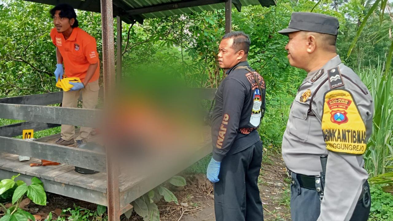 Mayat Perempuan Setengah Bugil Ditemukan di Gubuk Tengah Sawah, Berikut Ciri-cirinya
