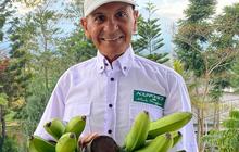 6 Artis Lawas Pilih Bertani, Temukan Keseruan Berbeda dari Dunia Keartisan - Ada Mark Sungkar Hingga Narji Cagur