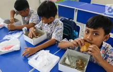 Ini Pendapat Ahli Gizi Apakah Rp10 Ribu Cukup untuk Memberi Makan Siang Gratis