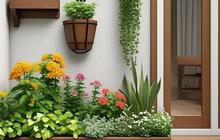 Desain Taman Rumah Minimalis, Ciptakan Oase Hijau dalam Keterbatasan Ruang