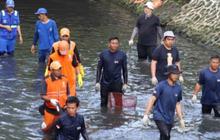 Pemprov DKI Kubur Ikan Sapu-Sapu Atasi Pembludakan Populasi