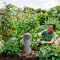 Cara Membuat Menara Cacing dari Pipa PVC untuk Kebun Subur