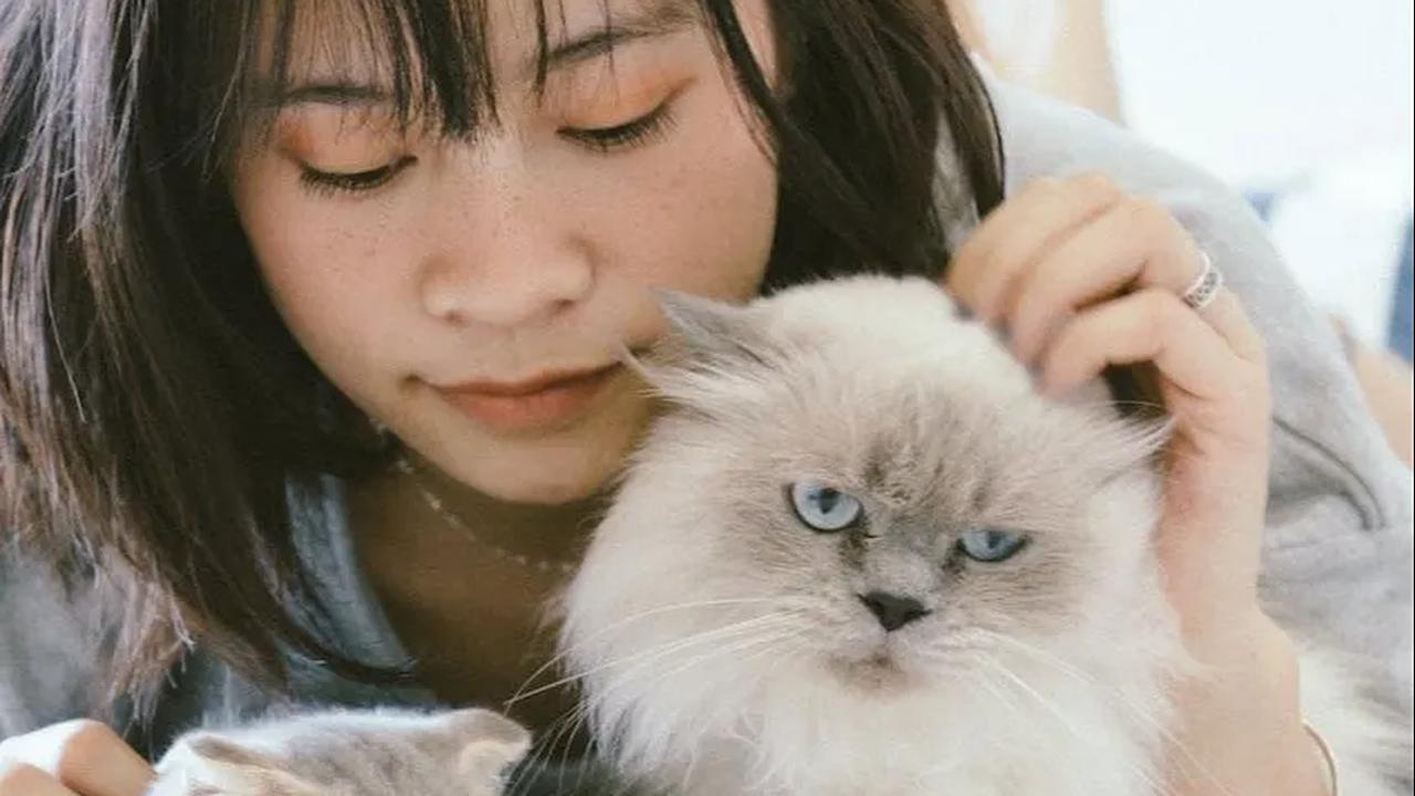 5. Teman Setia: Hewan Peliharaan untuk Kesehatan dan Kebahagiaan