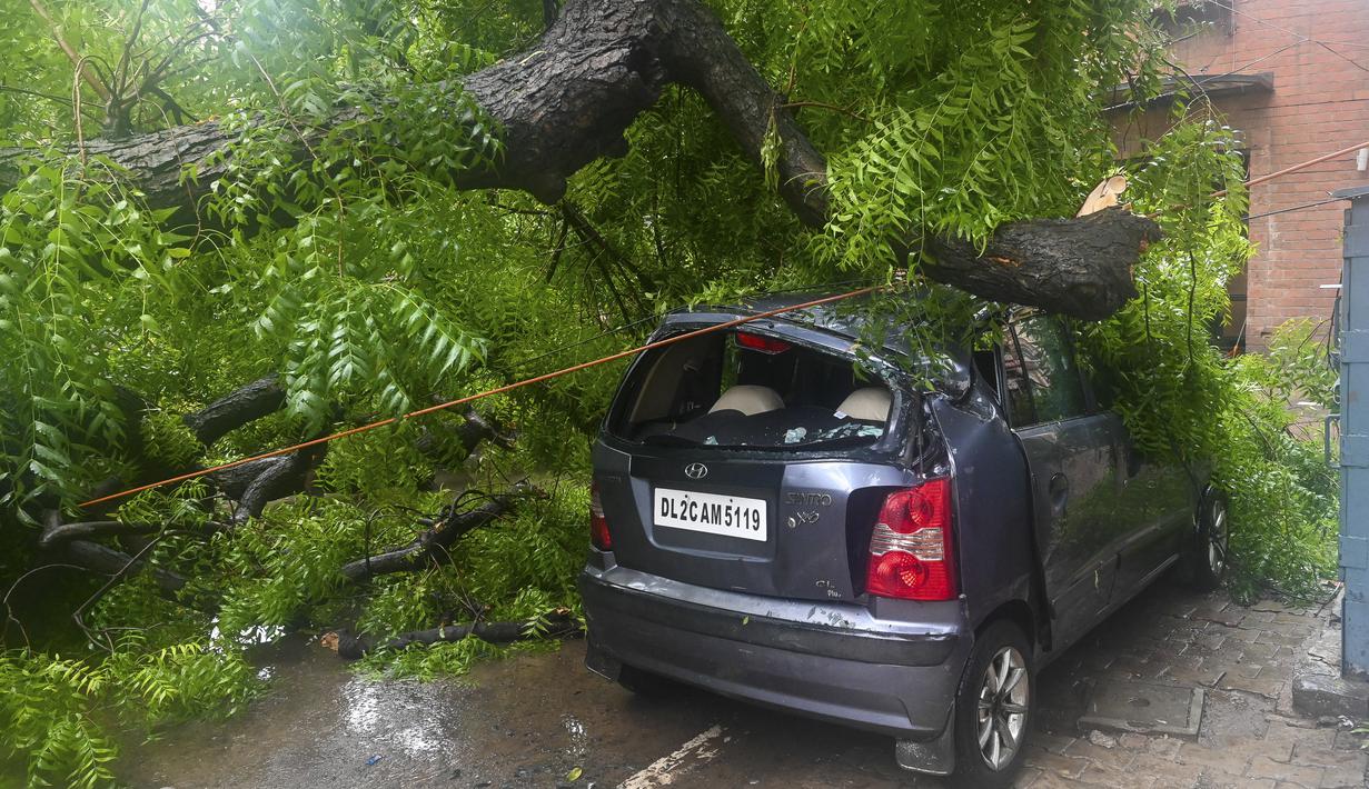 Sebuah mobil rusak tertimpa pohon yang tumbang setelah hujan lebat di New Delhi, India (1/9/2021). Stasiun cuaca mencatat curah hujan 112,1 mm dalam 24 jam yang berakhir pada hari Rabu pukul 08.30 waktu setempat. (AFP/Prakash Singh)