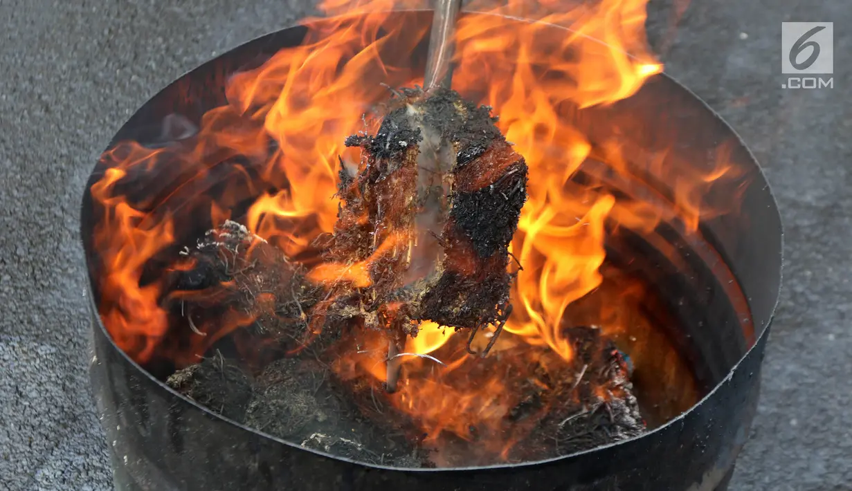 Petugas memusnahkan barang bukti narkoba berupa ganja dengan cara dibakar di halaman Polres Jakarta Utara, Senin (19/2). (Liputan6.com/Arya Manggala)