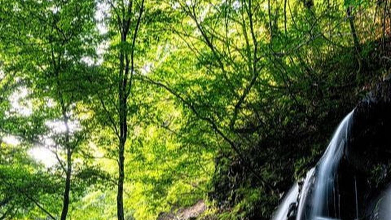 10.	Taman Nasional Baluran