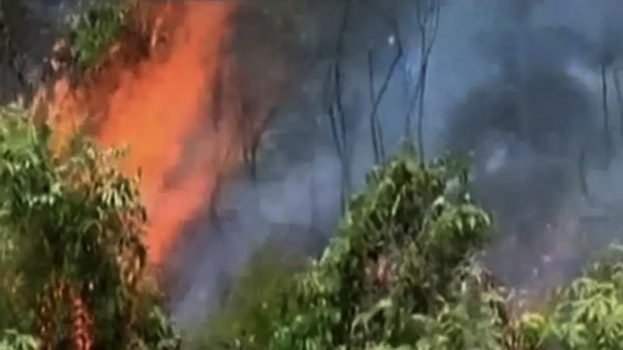 30 Hektare Lahan Konservasi di Jambi Terbakar