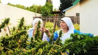 Biarawati Menanam Ganja (instagram/@sistersofthevalley)