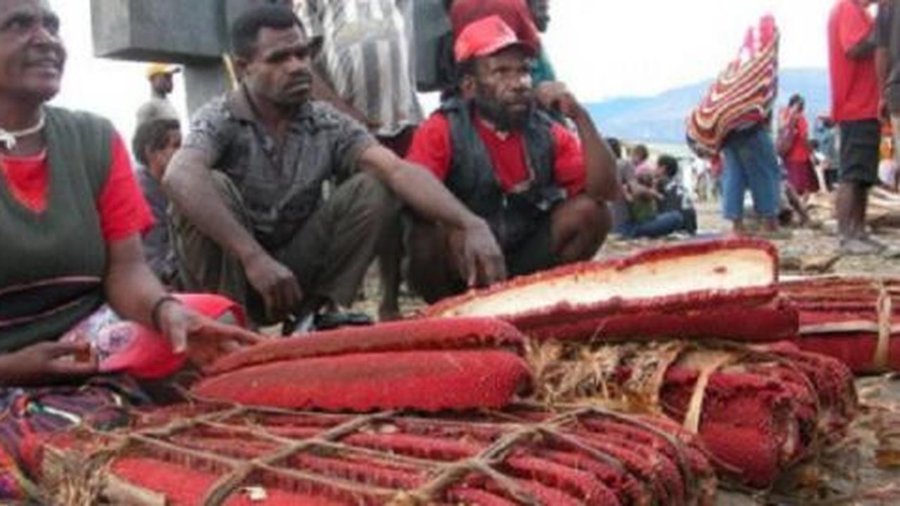 Buah merah asli Indonesia ampuh bunuh virus HIV?