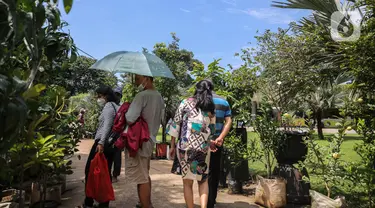 Pengunjung melihat tanamam yang dipamerkan di Lapangan Banteng, Jakarta, dalam acara Floraction, Sabtu (18/2/2023). Floraction menampilkan berbagai jenis tanaman, dari tanaman hias, bunga hingga tanaman buah. (Liputan6.com/Faizal Fanani)