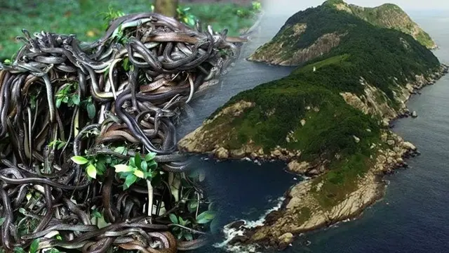 6 Pulau Terunik dan Teraneh di Dunia, Ada yang Dilarang Untuk Umum