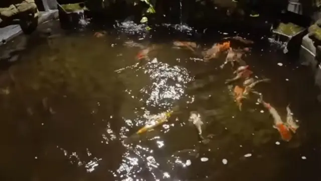 Rumah Mahalini yang mewah seperti istana