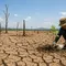 50 Juta Orang Terancam Kelaparan Akut Imbas El Nino