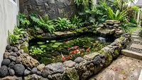 7 Model Kolam Ikan Minimalis Depan Rumah Lahan Sempit yang Bikin Tampilan Makin Estetik