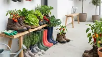 12 Desain Kebun Sayur Pakai Sepatu Bekas, Cocok untuk Teras Rumah Minimalis