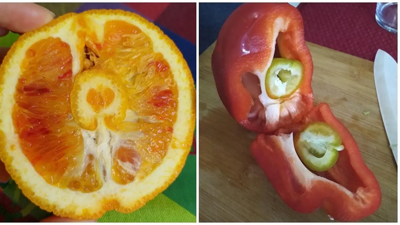 6 Penampakan Buah Usai Dipotong Ini Bikin Heran, Bentuknya Unik