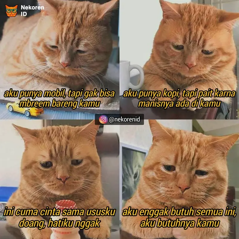 7 Meme Gombalan Kucing Oren Ini Kocak Bikin Gemas