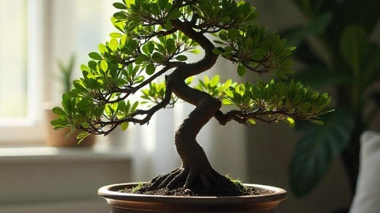 Ilustrasi Bonsai