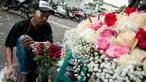 Pekerja merangkai bunga mawar di Pasar Bunga Rawa Belong, Jakarta, Selasa (14/2). Harga mawar saat Hari Valentine naik dua hingga tiga kali lipat, untuk bunga lokal yang biasanya dijual 25 ribu seikat menjadi 50 ribu seikat. (Liputan6.com/Gempur M Surya)