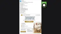 Cek Fakta: Hoaks Link Pendaftaran Bantuan Bibit Ayam Periode 21 Februari - 30 April 2026