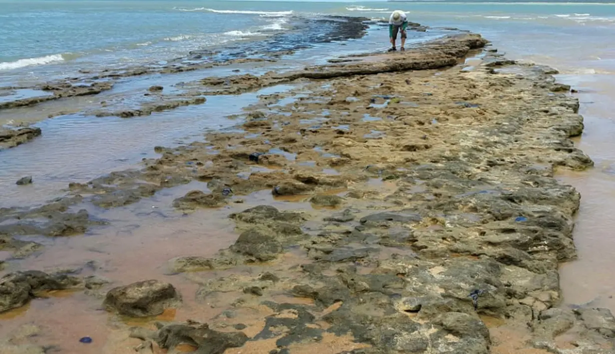 Gambar yang dirilis 7 Oktober 2019 memperlihatkan minyak tumpah di pantai Pontal de Coruripe di Coruripe, negara bagian Alagoas, Brasil. Presiden Jair Bolsonaro menyebut tumpahan minyak yang mencemari pantai di kawasan timur laut Brasil itu emungkinan berasal dibuang secara kriminal. (HO/IBAMA/AFP)