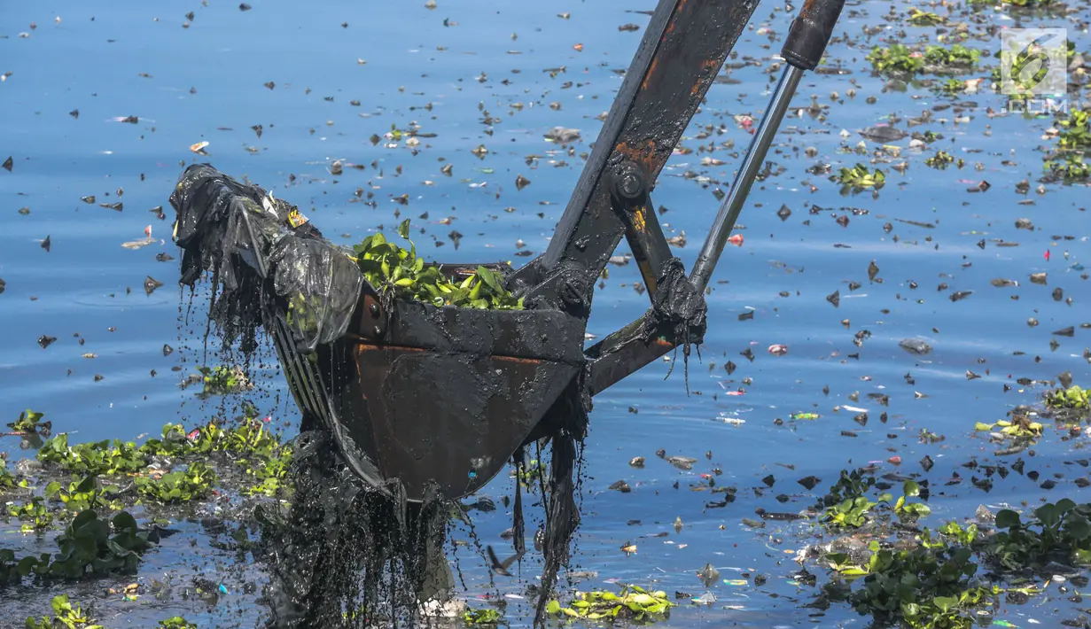 Petugas UPK Badan Air DLH Provinsi DKI Jakarta menggunakan alat berat membersihkan eceng gondok di Waduk Pluit, Jakarta, Jumat (22/2). Pendangkalan waduk menyebabkan tanaman eceng gondok tumbuh liar di waduk pluit. (Liputan6.com/Faizal Fanani)