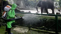 Petugas menyemprotkan dIsinfektan untuk mencegah penyebaran Covid-19 di Kebun Binatang Ragunan, Jakarta Selatan, Selasa (17/03/2020). Penyemprotan tetap dilakukan walaupun hingga sekarang KB Ragunan masih ditutup untuk umum. (merdeka.com/Arie Basuki)