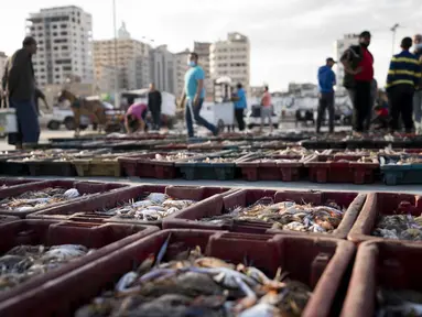 Hasil laut tangkapan nelayan diletakkan di area terbuka saat sejumlah pembeli melihat berbagai hasi laut di kawasan Gaza (23/5/2021). Pelelangan hasil laut di Gaza kembali bergeliat usai sejumlah kapal nelayan diizinkan kembali melaut pasca Israel-Hamas gencatan senjata. (AP Photo/John Minchillo)