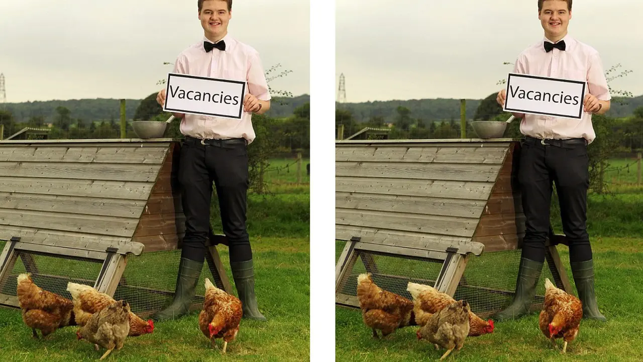 Chicken Hotel 0814
