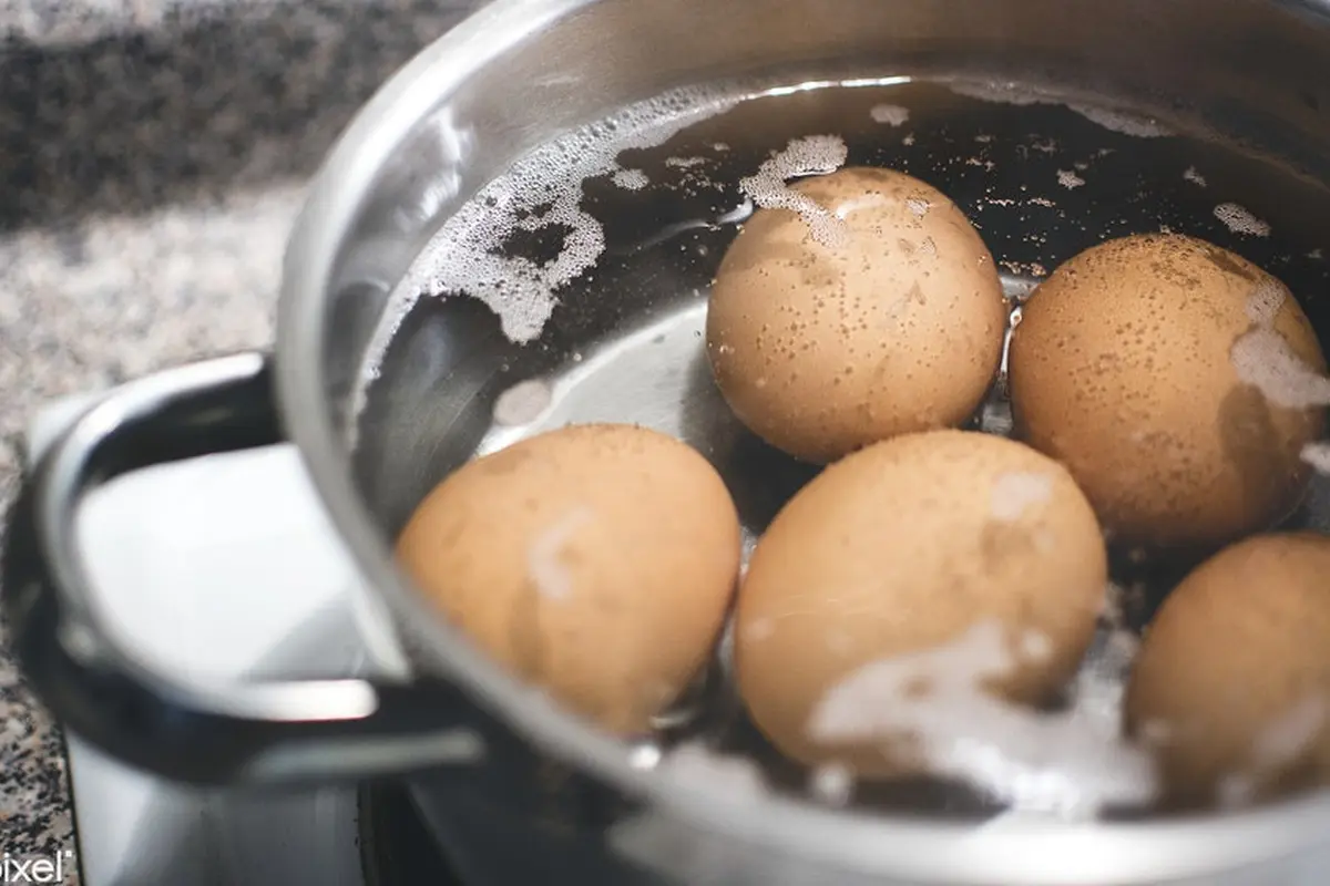 telur