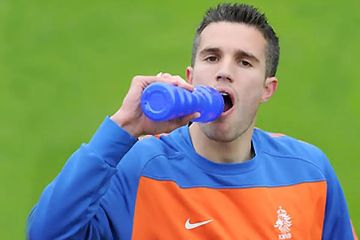 Robin van Persie
